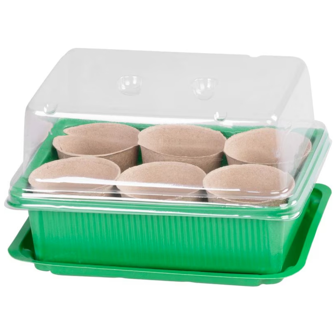 Set tava de rasaduri cu capac, 6 alveole individuale, 1 alveola cu 6 ...