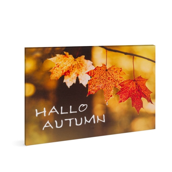 LED festmény "Hello Autumn" 30 x 40 cm