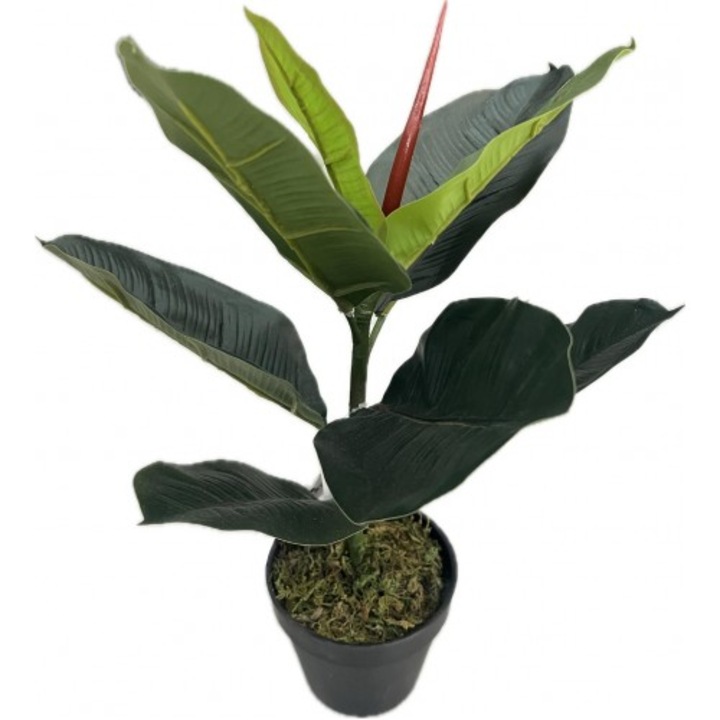 Planta artificiala, Rubber cu aspect natural, 45 cm