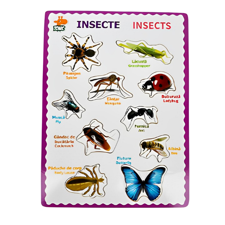 Montessori betétes oktatópuzzle rovarokkal, Onore, tarka, fa, 30 x 22,5 cm, 10 db, nevek lb. angol és román