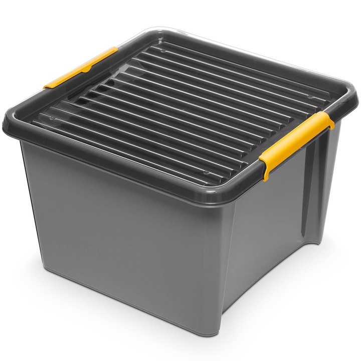 Cutie De Plastic Cu Capac Pentru Depozitare Polipropilena Gri 25 L