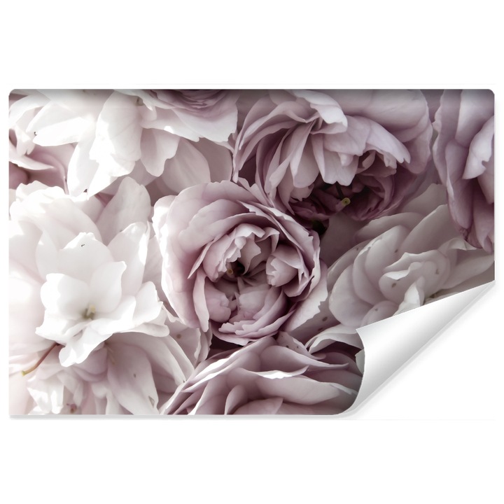 Fototapet Muralo trandafiri 90 cm x 60 cm pentru sufragerie sau dormitor