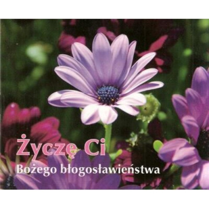 Perelka 215 - Zycze Ci Bozego blogoslawienstwa, Edycja Swietego Pawla