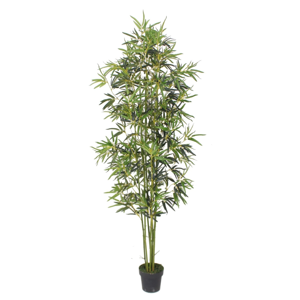 210 EMAG bg 210-emag-bg