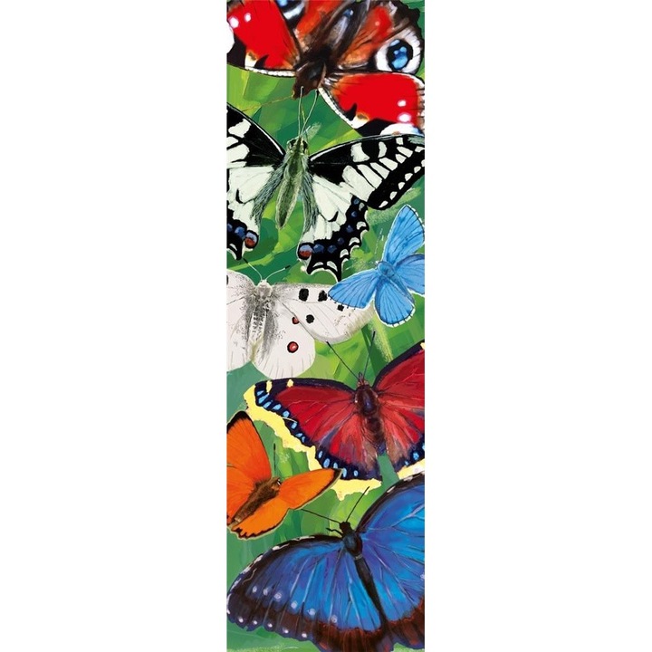 Semn de carte, Plan, Multicolor