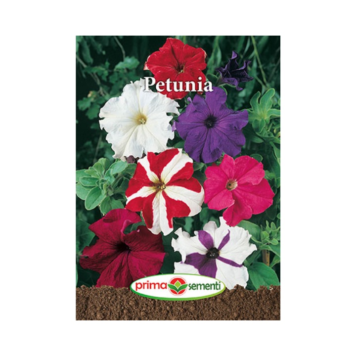 Seminte Floari Petunia 0.05 g