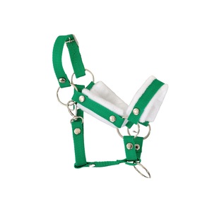 Interaktív gyerek játékok