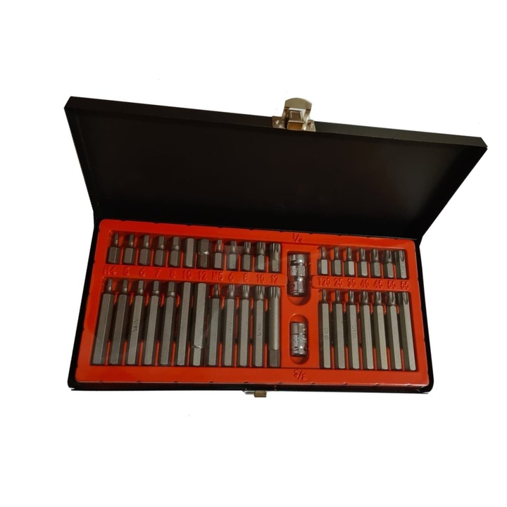 Trusa profesionala 41 piese, Biti torx, Hex, Spline, Material Cr-V