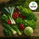 Set seminte TORAF 12 soiuri premium de legume, plante de gradina si balcon, include salata, capsuni, ridichi, arpagic, spanac, rucola, rubarba, ideal pentru gatit acasa si gradinarit