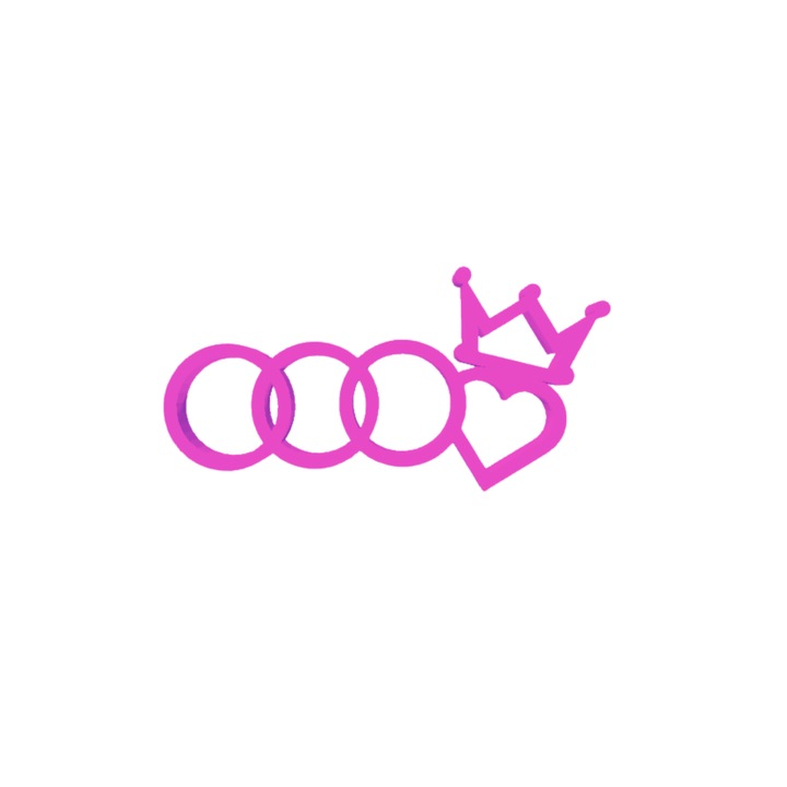 Breloc chei, "AUDI", 41 X 80 mm mov deschis