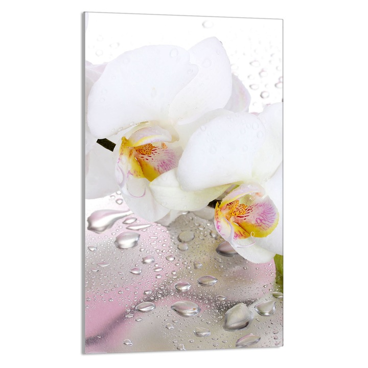 Кухненска дъска за рязане Орхидея, DarHaus, Стъкло, Мултифункционална, 30x52см, Многоцветна