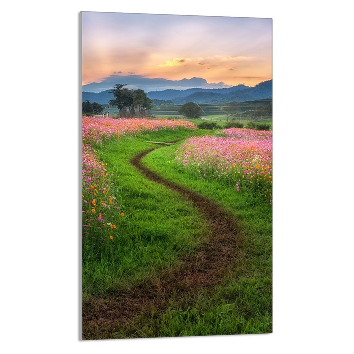 Tocator de bucatarie Peisaj montan, DarHaus, Sticla, Multifunctional, 30x52cm, Multicolor