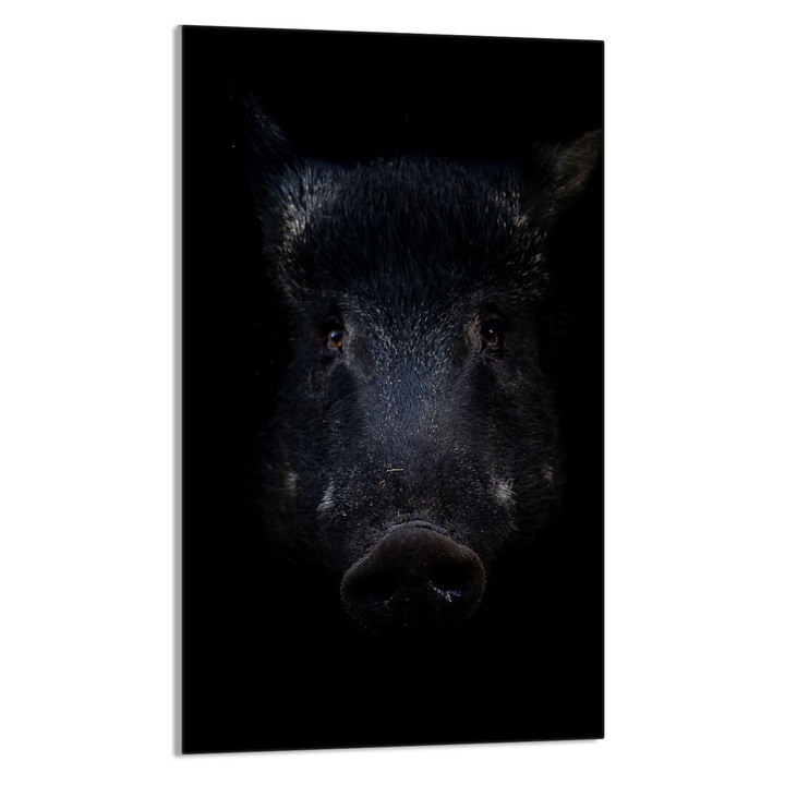 Tocator de bucatarie Mistret, DarHaus, Sticla, Multifuctional, 30x52cm, Negru