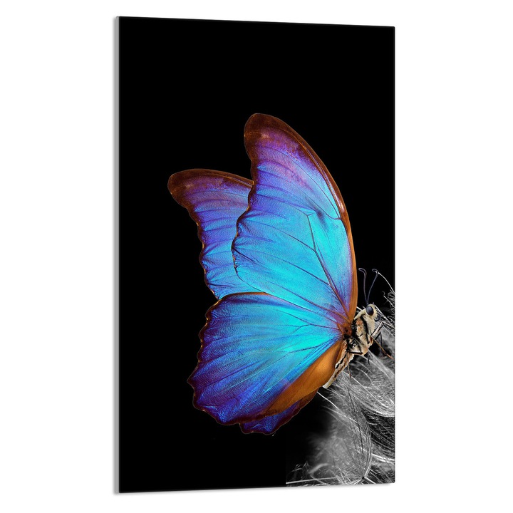 Tocator de bucatarie Fluture, DarHaus, Sticla, Multifuctional, 30x52cm, Multicolor