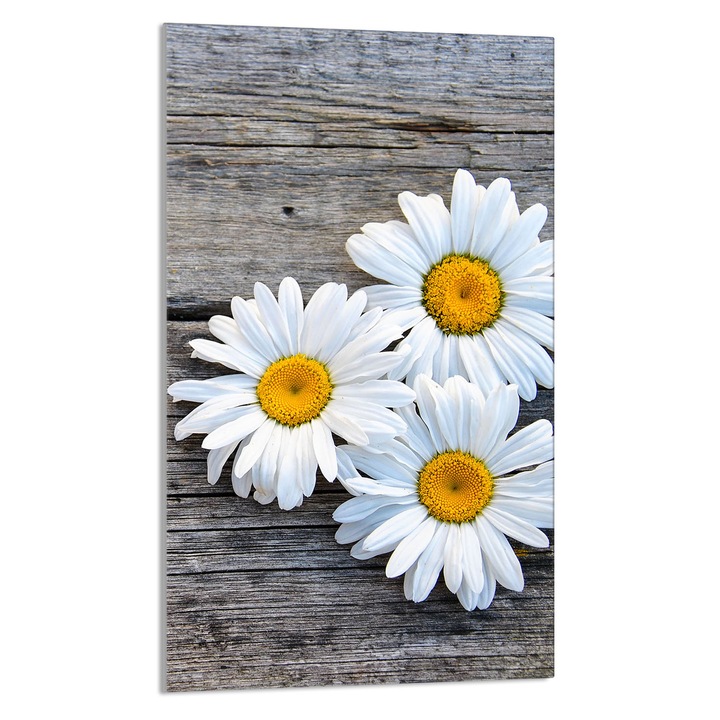 Tocator de bucatarie Margarete, DarHaus, Sticla, Multifuctional, 30x52cm, Multicolor