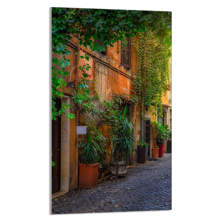 Tocator de bucatarie Strada, DarHaus, Sticla, Multifuctional, 30x52cm, Multicolor
