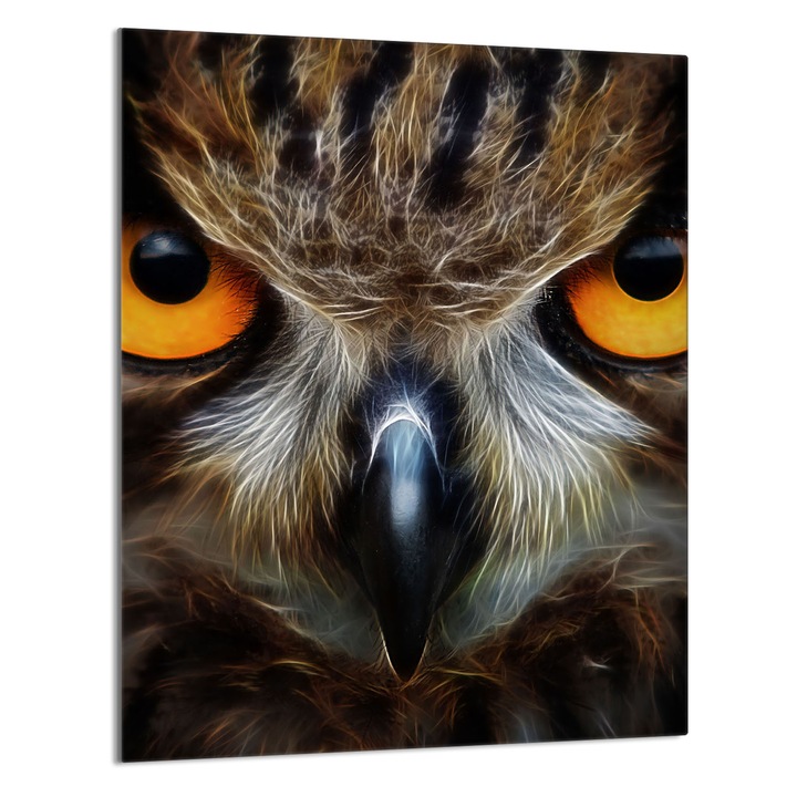 Кухненска дъска за рязане Бухал, DarHaus, Стъкло, Мултифункционална, 40x52см, Многоцветна