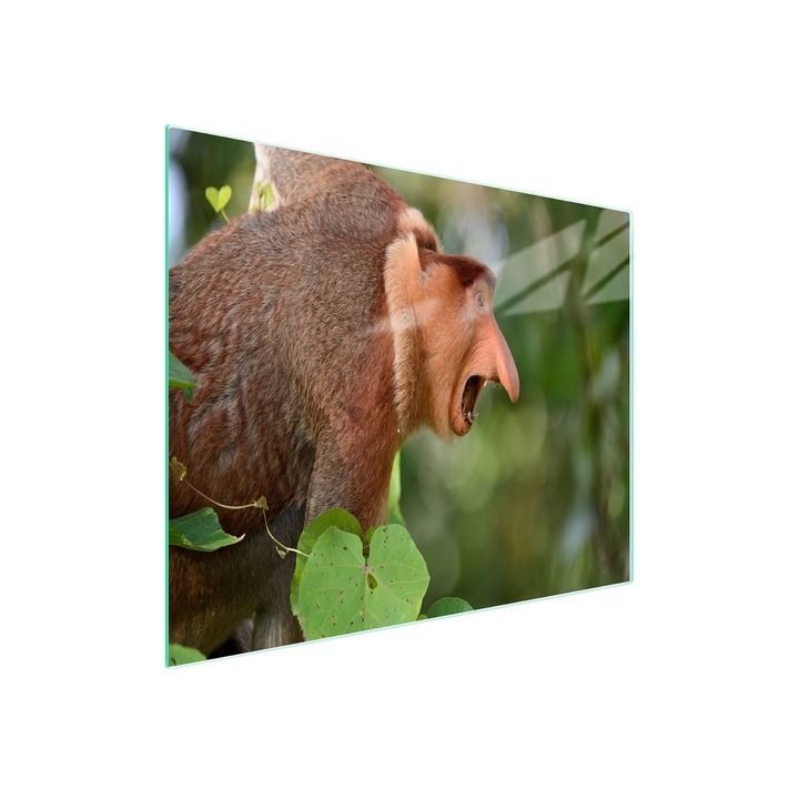 Многофункционална дъска за рязане TMK, стъкло, 52x30см