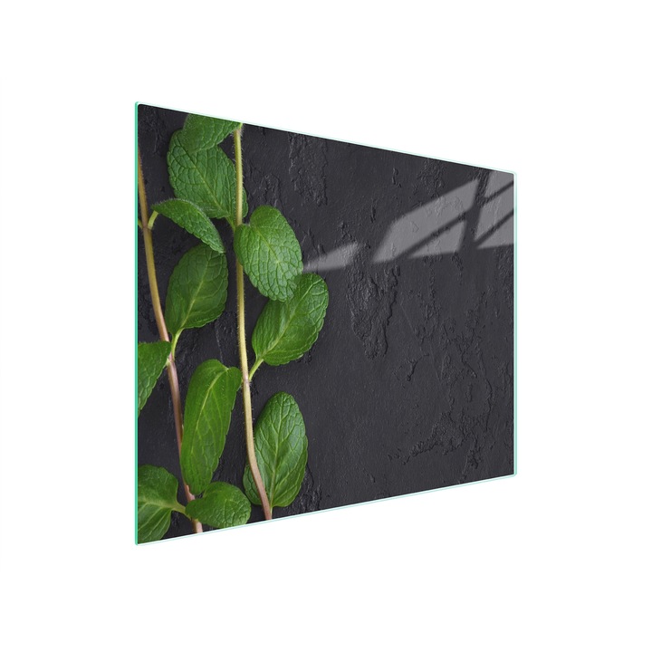 Placa de taiat, DarHaus, k-d10438, sticla, 52x30, menta