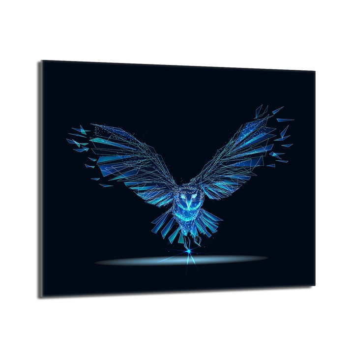 Placa de protectie pentru plita, DarHaus, Sticla, 60x52cm, Negru/Albastru