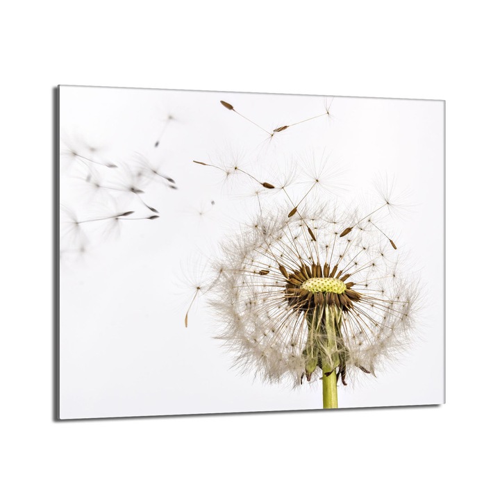 Placa de protectie pentru plita, DarHaus, sticla, 60x52 cm, multicolor