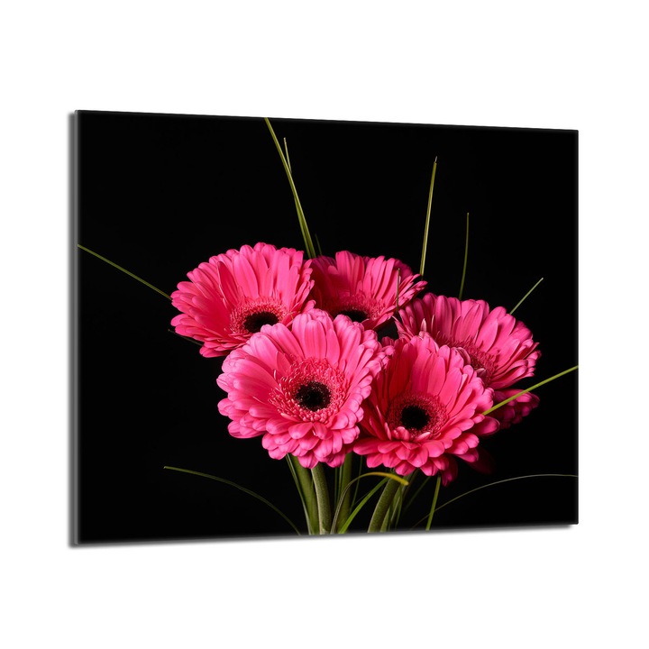 Placa protectie plita, TMK, sticla, 60 x 52 cm, multicolor