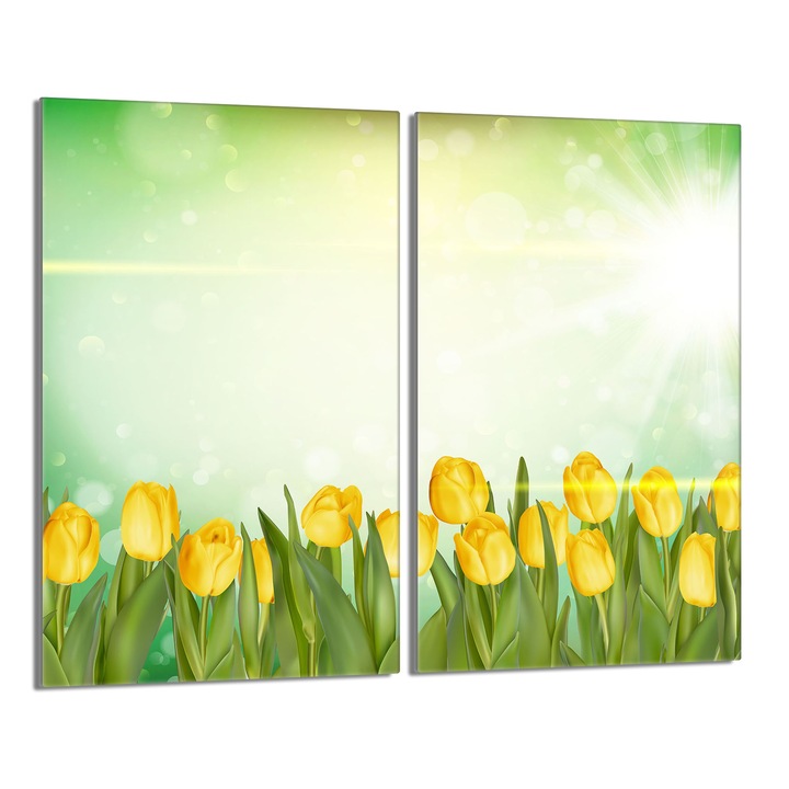 Placa de protectie plita, DarHaus, sticla hartata, 2x30x52 cm, Multicolor