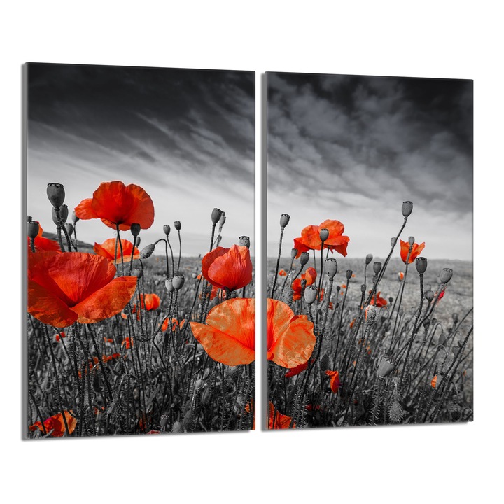 Set 2 placi protectie plite, DarHaus, Model maci, Sticla, 2x30x52 cm, Rosu/Gri