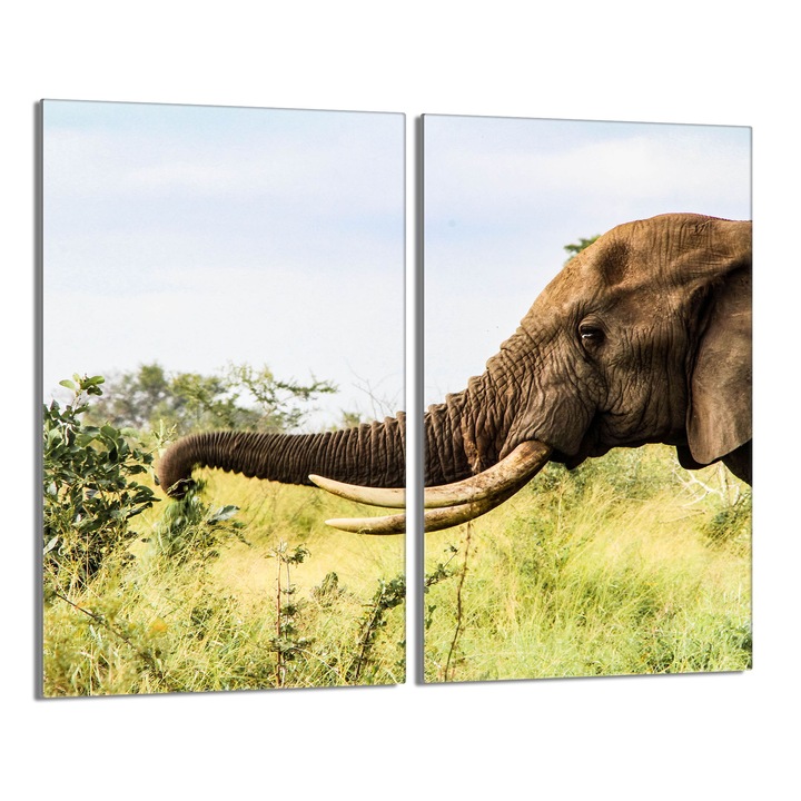 Set 2 placi protectie plita, TMK, Sticla, 30 x 52 cm, Multicolor