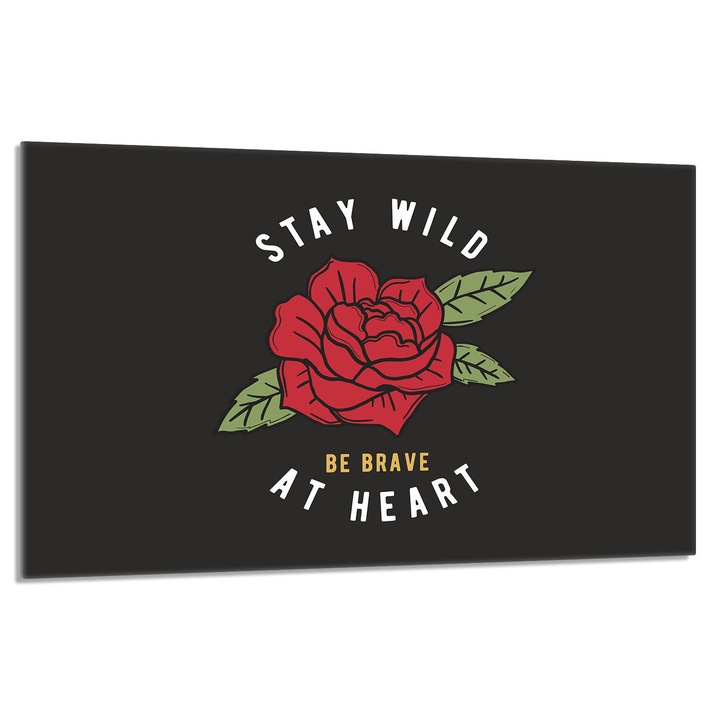 Placa de protectie plita, TMK, sticla, 80 x 52 cm, multicolor