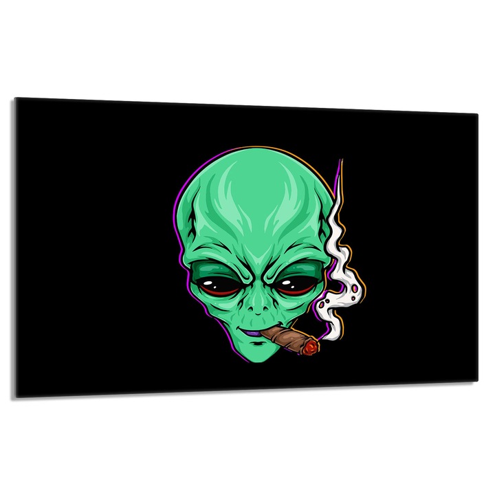 Placa de protectie pentru plita, TMK, sticla, 80 x 52 cm, multicolor