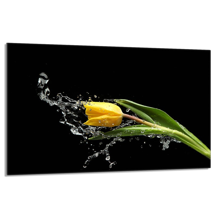 Placa de protectie DarHaus pentru plita, sticla, 80x52cm