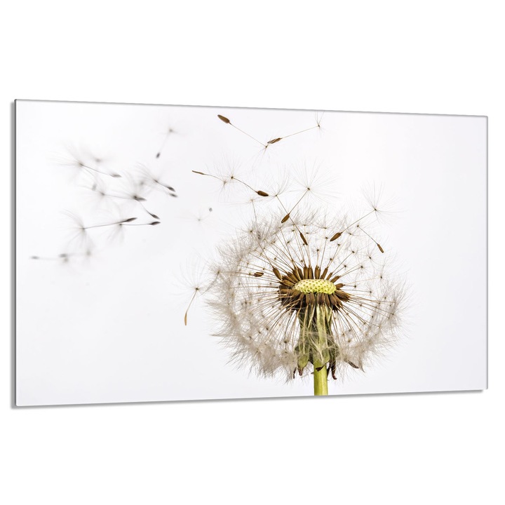 Placa de protectie pentru plita cu inductie/vitroceramica, DarHaus, Sticla, 80x52cm, Multicolor