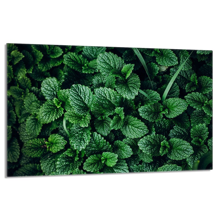 Üveg tűzhelyvédő lap 80x52cm Melisa