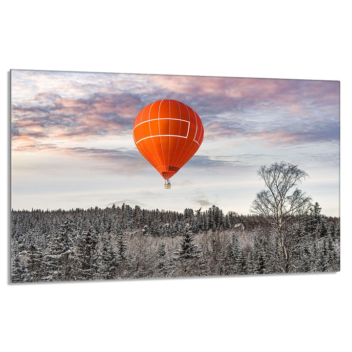 Üveg tűzhelyvédő lap 80x52cm Ballon
