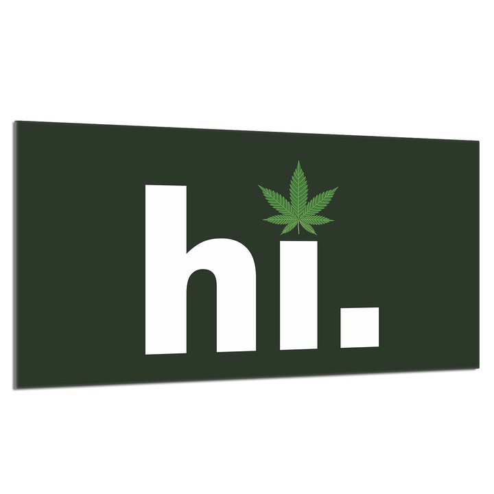 Placa de protectie sticla pentru aragaz 90x52cm Leaf