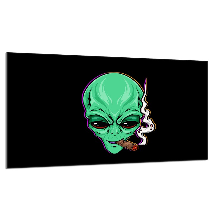 Üveg tűzhelyvédő lap 90x52cm UFO