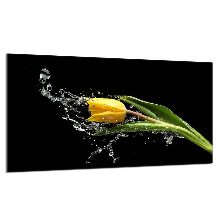 Placa de protectie sticla pentru aragaz 90x52cm Lalea