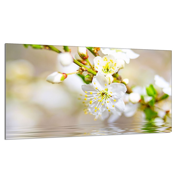 Placa de protectie din sticla pentru aragaz 90x52cm Sliwa