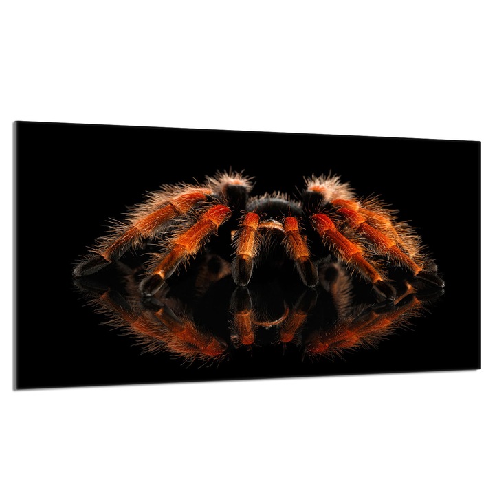 Placa de protectie din sticla pentru aragaz 90x52cm Spider