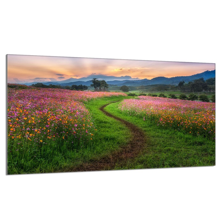 Placa de protectie din sticla pentru aragaz 90x52cm Gory