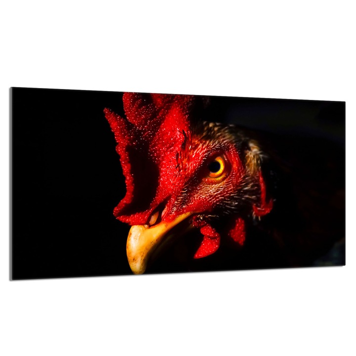 Kogut üveg főzőlap védőlap 90x52cm