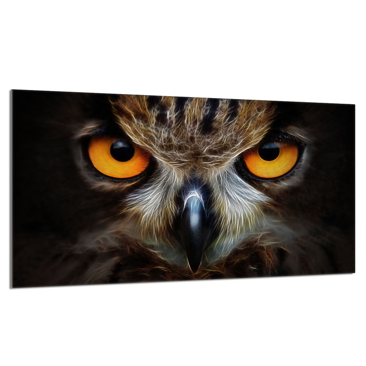 Placa de protectie din sticla pentru aragaz 90x52cm Owl