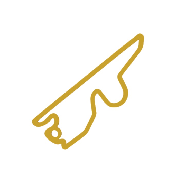 Breloc chei, "FORMULA 1 FUJI", 50X 52 mm auriu