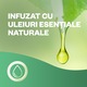 Rezerva odorizant de camera spray automat fara aerosoli Air Wick, Briza de primavara si Vanilie, 228ml