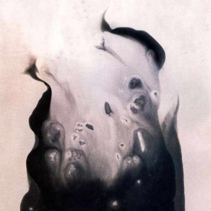 Marla Hansen - Salt (LP)