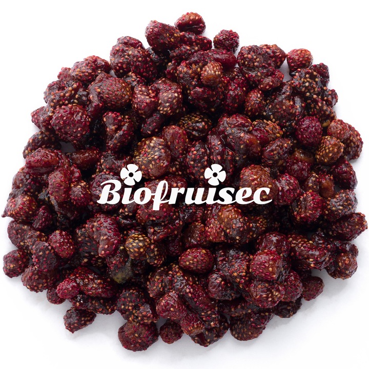 Capsuni salbatice BIO, din Alpii Dinarici Biofruisec 100g - eMAG.ro