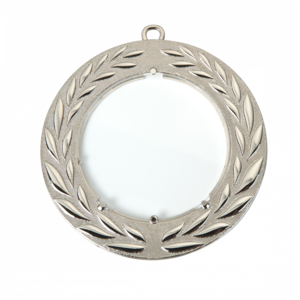 Cupe, trofee si medalii