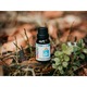 Етерично масло от Eucalyptus camaldulensis 15 ml, CTEO тестван