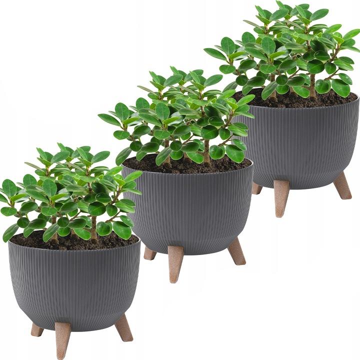 Set de Ghiveci 3x rotund Lamela Roma LA951-50 29x23cm, Grafit
